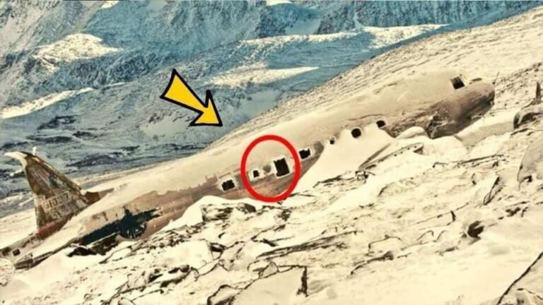 LOST PLANE found after decades researchers are STUNNED when they SEE what’s inside 😱 Check Comment Below 👇