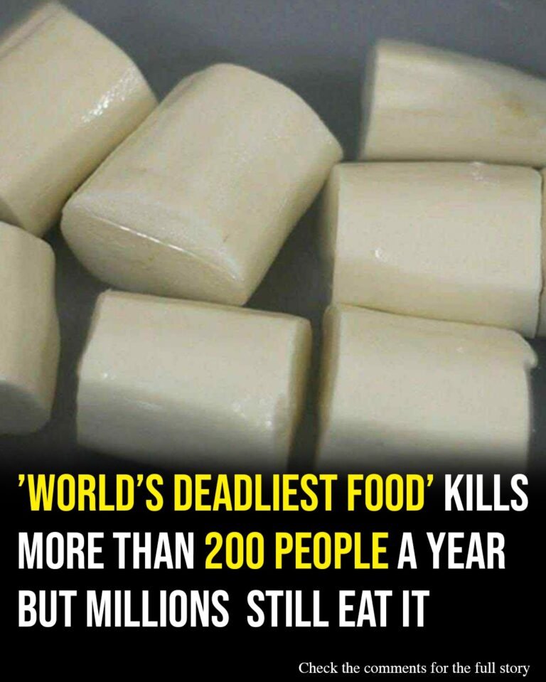 World’s ‘deadliest food’ kills 200 each year