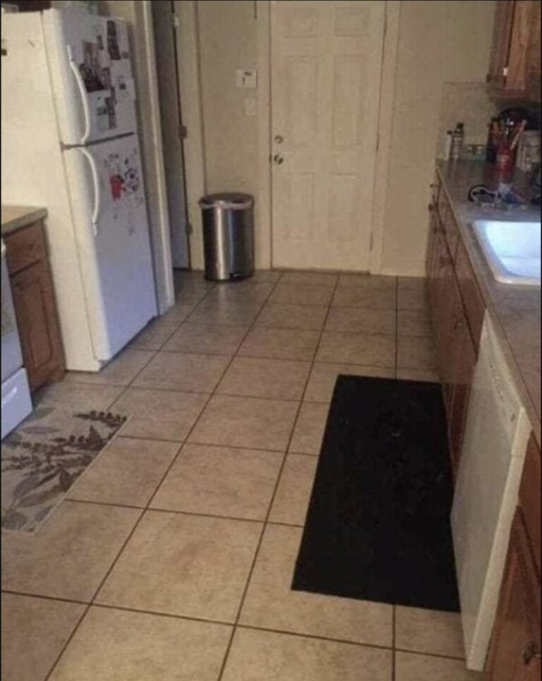 Can you find the large dog hiding in this kitchen?