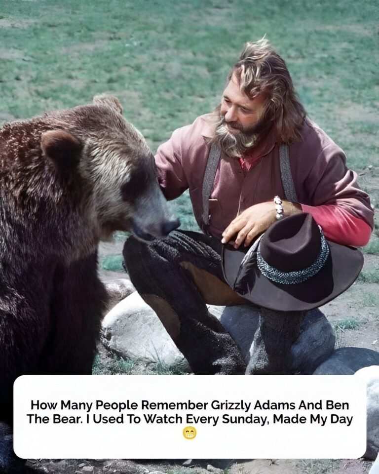 Playing the role of Grizzly Adams was Dan Haggerty.