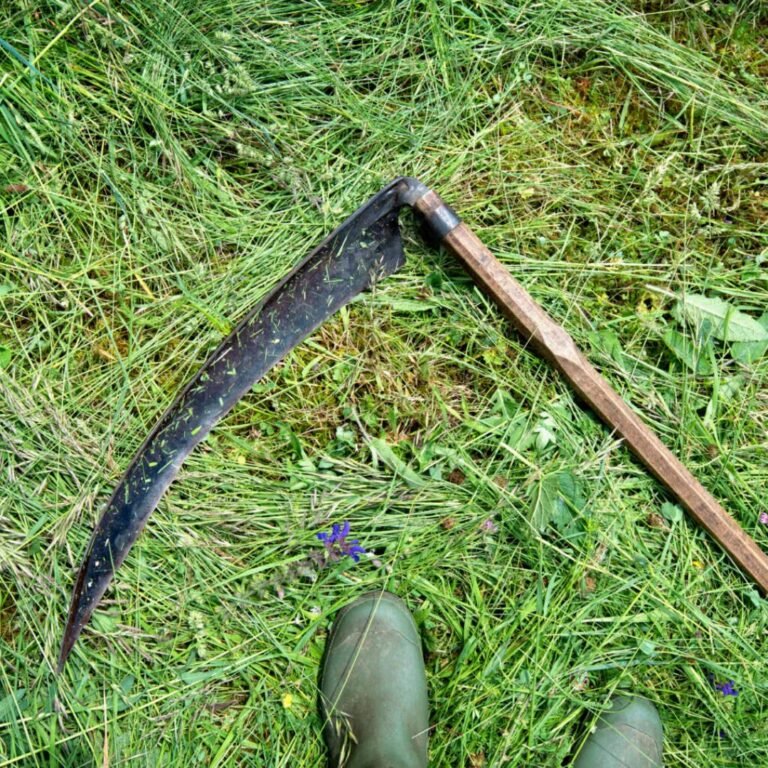 l’m Positive You Will Not Know What This Is. Go Ahead And Prove Me Wrong.