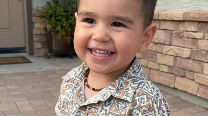 Questions Remain After the Mysterious Death of a 5 Year Old Child Under Investigation