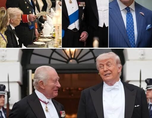 King Charles III Drops Cheeky White House Joke That Sends Guests Into WOW Moment