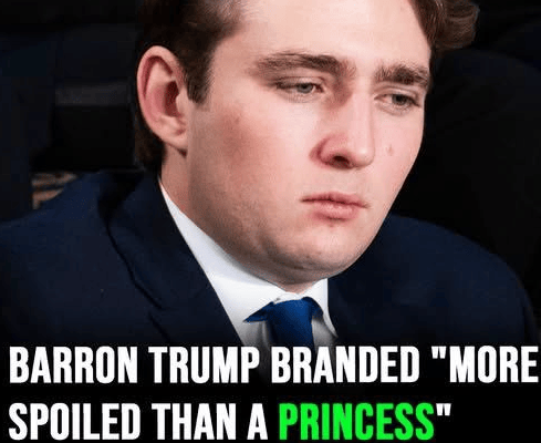 Barron Trump branded “more spoiled than a princess” as Americans want to send him to Iran war